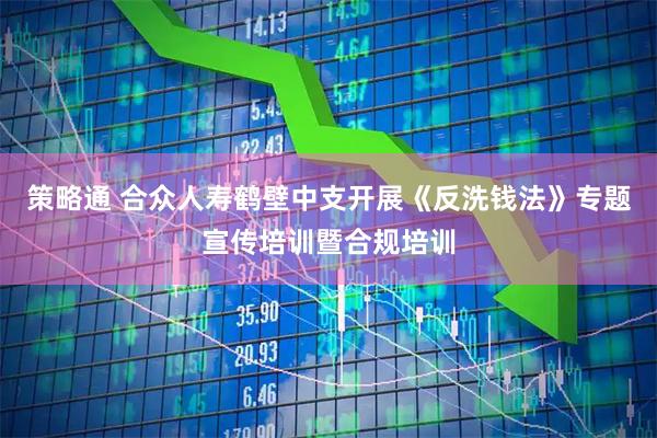 策略通 合众人寿鹤壁中支开展《反洗钱法》专题宣传培训暨合规培训