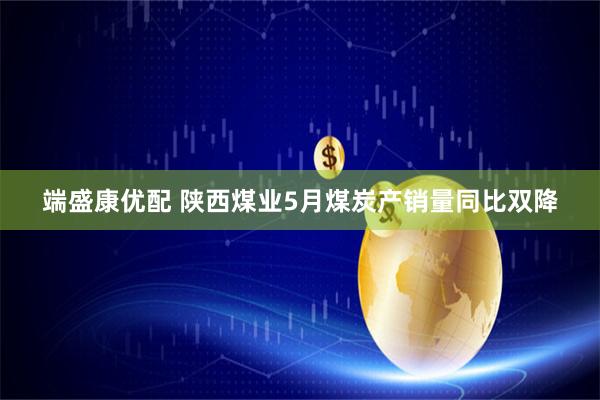 端盛康优配 陕西煤业5月煤炭产销量同比双降