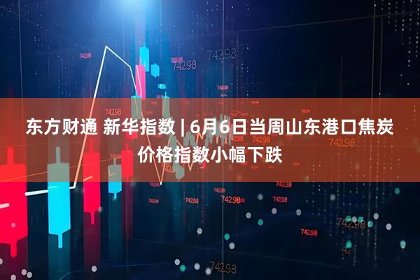 东方财通 新华指数 | 6月6日当周山东港口焦炭价格指数小幅下跌