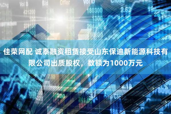 佳荣网配 诚泰融资租赁接受山东保迪新能源科技有限公司出质股权，数额为1000万元