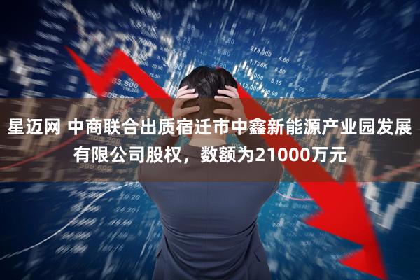 星迈网 中商联合出质宿迁市中鑫新能源产业园发展有限公司股权，数额为21000万元