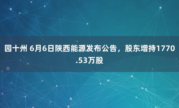 园十州 6月6日陕西能源发布公告，股东增持1770.53万股