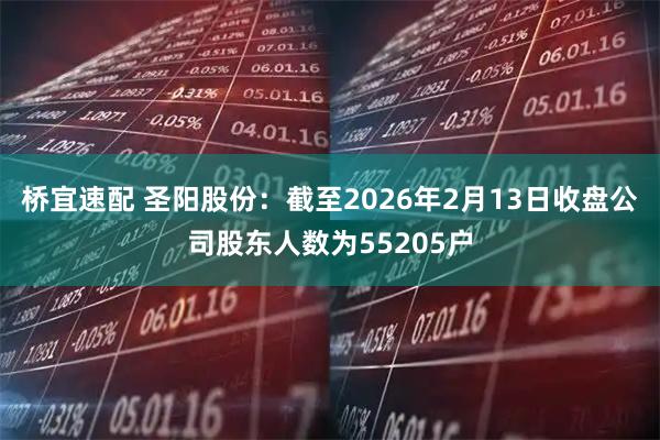 桥宜速配 圣阳股份：截至2026年2月13日收盘公司股东人数为55205户